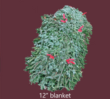 Grave Blankets