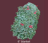 Grave Blankets
