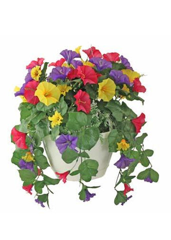 Deluxe Hanging Flower Basket with Shepherd Hook Rental - Assorted Colors